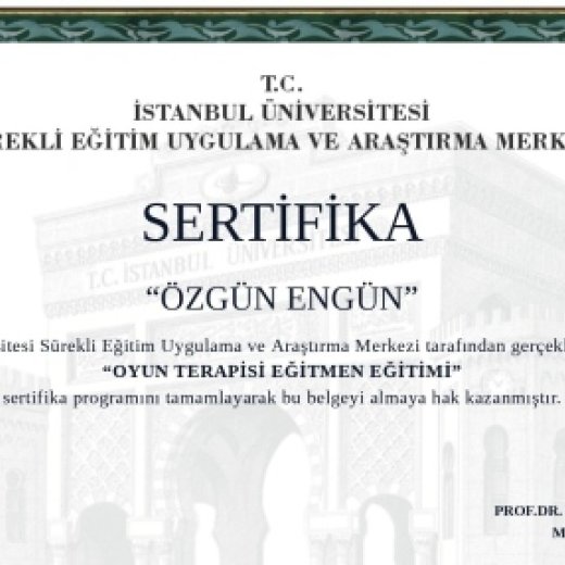Klinik Psikolog Özgün Engün Özel Sağlık Hizmet Birimi